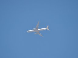 Flugtag 2022